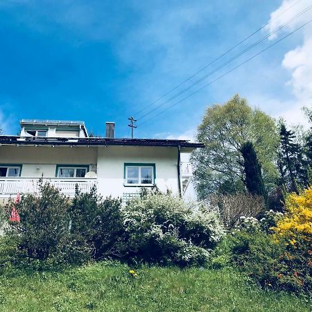 מלון באייריש אייסנשטיין Haus Am Wald מראה חיצוני תמונה
